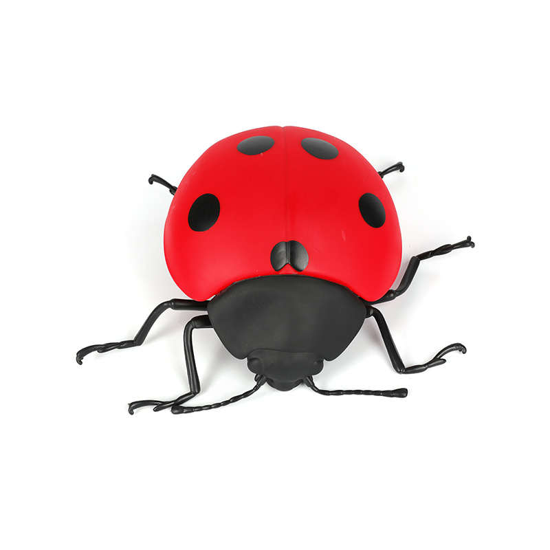 Beetle Ride On Toy Toddler Early Educational Plaything